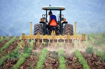 Молодые фермеры могут получить 40 тысяч субсидии - Минагро