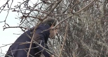 Конфликт на Харьковщине. Мужчина сделал засаду в кустах, чтобы выяснить обстановку (видео)