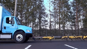 Стая роботов Boston Dynamics SpotMini буксирует грузовик