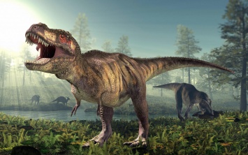 Детеныша тираннозавра выставили на торги: палеонтологи возмущены