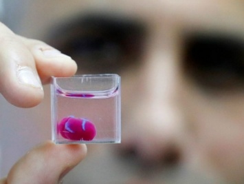 Израильские ученые напечатали живое сердце на 3D-принтере