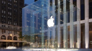 Сотрудники Нью-Йоркского Apple Store пожаловались на нашествие паразитов