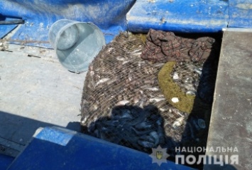 В полиции рассказали, сколько рыбы наловили браконьеры на 175 тысяч гривен