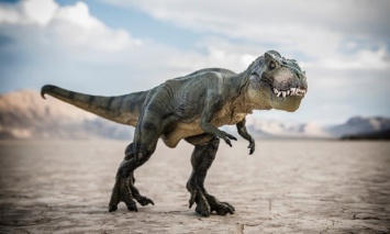 Единственный в мире скелет детеныша тираннозавра продан на eBay