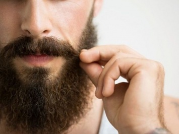 Микробов в мужской бороде оказалось больше, чем в собачьей шерсти