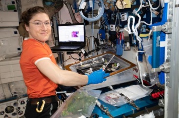 Кристина Кох станет вторым астронавтом, который проведет в космосе почти год