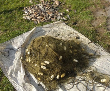 В Запорожской области браконьер выловил десятки килограмм рыбы сеткой