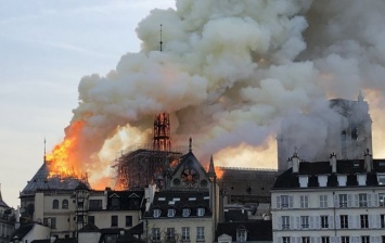 Во Франции следствие установило место возгорания Нотр-Дама