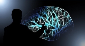 Ученые обнаружили неизвестный участок в человеческом мозге: открытие, которое изменит историю