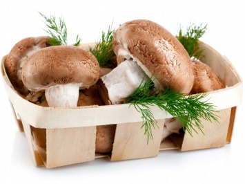 Какие грибы полезно есть при диабете?