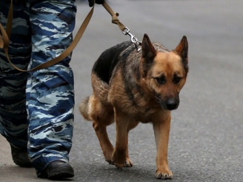 Не уймутся: в Харькове заминировали еще два завода и ресторан