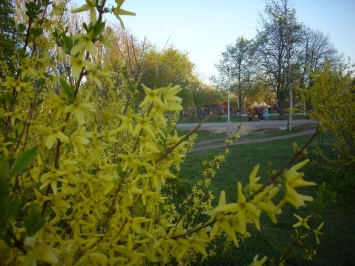 Солнечная весна в главном парке самого молодого района Запорожья - фото