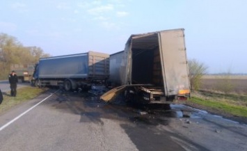 На Днепропетровщине произошло масштабное ДТП с грузовиками (ФОТО, ВИДЕО)