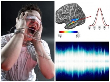 Зрячим не понять: Ученые объяснили, почему слепые люди имеют идеальный слух