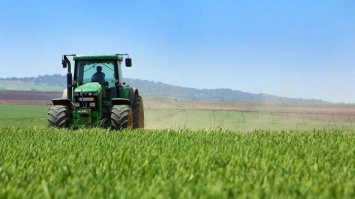 Субсидия для фермерского хозяйства: как оформить