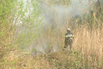 В Харькове пылает камыш, сгорели полуприцеп и забор (фото, видео)