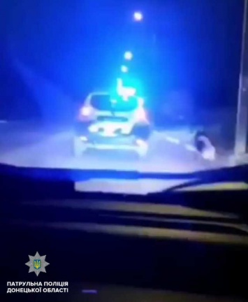 В Мариуполе полицейские привязали собаку к патрульному авто и везли за собой,- ФОТО, ВИДЕО