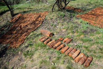 Под Николаевом взрывотехники ликвидировали мину, а нашли еще 1622 старых боеприпаса