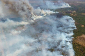 Масштабный пожар в Полесье: экологи оценивают ущерб в 1,6 млрд гривень