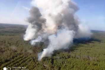 ГСЧС: в Житомирской области горят 15 га лесного массива