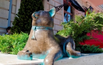 В Одессе открыт памятник беззаботной кошке Софе (видео)