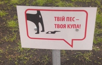 Жители Запорожья предлагают обустроить места для выгула собак
