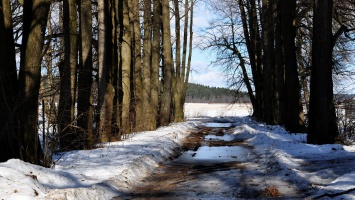 Снег выпал в Украине на Пасху: "зима вернулась", впечатляющие фото