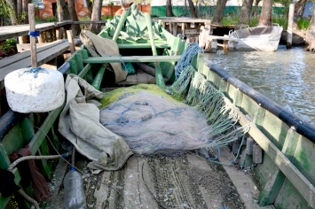 На Дунае - рекордная путина: рыбаки просят разрешения на добычу еще 100 тонн сельди