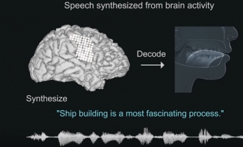 Найден способ воспроизводить речь по активности мозга