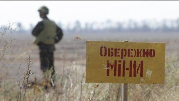 В течение недели на Донбассе разминировали более 73 га территории