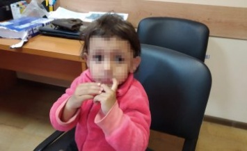 Иностранец с 2-летней девочкой пытался незаконно прорваться через украинскую границу (ФОТО)
