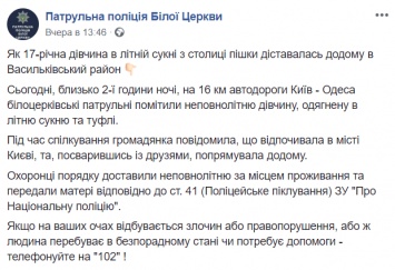 Патрульные нашли под Киевом девушку в розовом платье и туфлях, которая брела домой посреди ночи. Фото