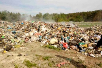 В Николаевской области на свалке девятилетнего мальчика насмерть завалило мусором