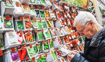 Как в Днепре правильно купить и выбрать семена: проверено на себе