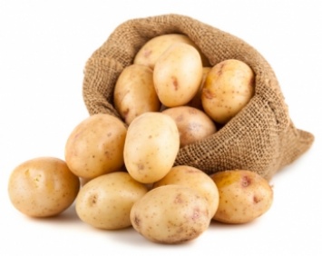 В Запорожской области взлетела цена на картофель (ФОТО)
