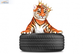 Тигренок Ройял представит новые всесезонки Uniroyal Tiger Paw Touring A/S