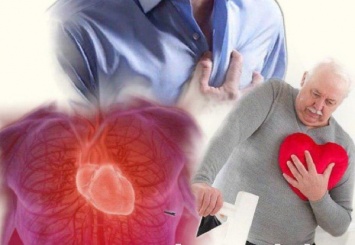 Ученые из России нашли метод защитить сердце от кислородного голодания