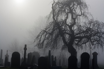Запрещенное кладбище в Горловке окутал "ад", люди не смогли навестить могилы родных: видео ужаса