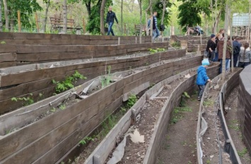 В Зеленом театре для всех желающих обустроили огород