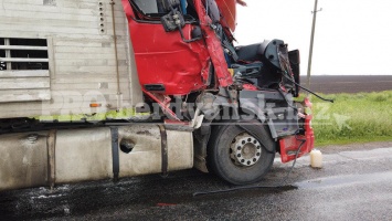 Под Бердянском произошло ДТП с участием грузовиков: есть пострадавшие