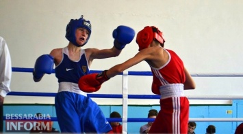 Украинские школьники участвуют в чемпионате по боксу, который проводится в Шабо