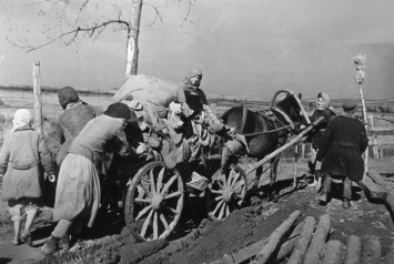 Лучшее в соцсетях. "У моей памяти о войне женский голос", - Наталья Абаканович