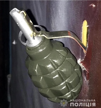В Николаеве мужчина собирался метнуть гранатой по "Бессмертному полку". Фото