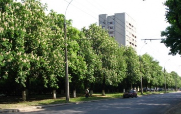 Харьковская петиция о переименовании набрала голоса. Вятрович грозит судом