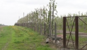 Жестокое убийство семьи фермера на Винниччине: подробности и версии