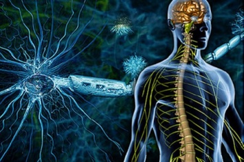 Рассеянный склероз: Ученые открыли механизм возникновения заболевания