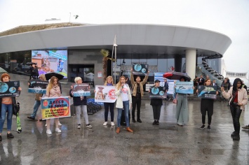 Зооактивисты пикетировали одесский дельфинарий