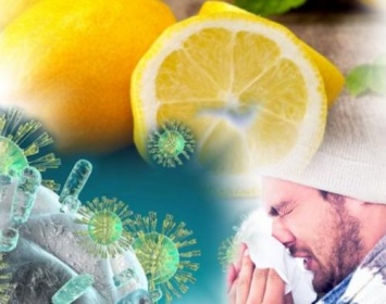 Как уберечь организм от вирусов? Ученые рассказали, что лимон укрепляет иммунитет