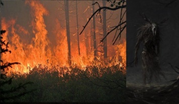 «Фиг вам, а не вырубка!»: Болотная «нечисть» сжигает свои леса по всей России - экстрасенс