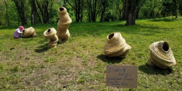 Днепряне стали свидетелями рождения деревянных шедевров на фестивале «Зеленая волна» (ФОТО)